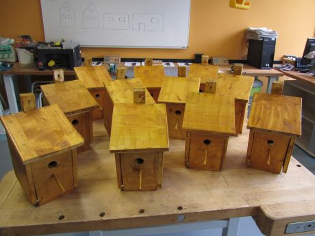 Technikunterricht - Privatschule - Ulrich-Walter-Schule