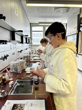 SJ 2425 Fehling Lab 01