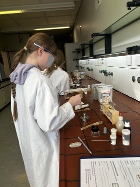 SJ 2425 Fehling Lab 03