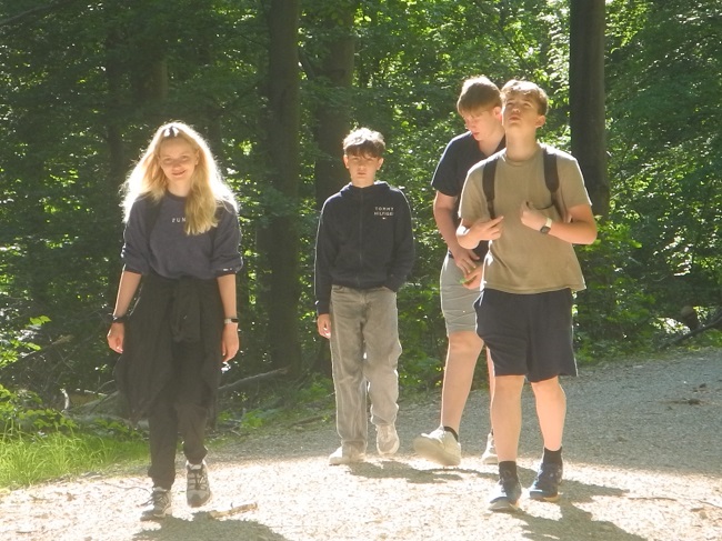 SJ 2425 SLH Kl.7 Bild 7